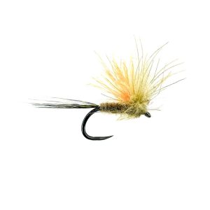 BROWN DUN (SPANISH)