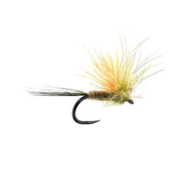 BROWN DUN (SPANISH)