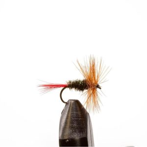 Brown Hackle Peacock