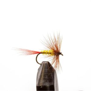 Brown Hackle Yellow
