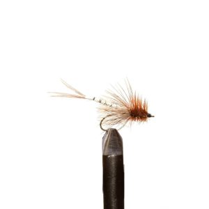 Brown Para Tan