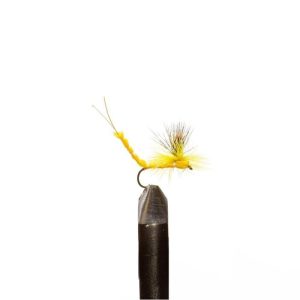 Brown Para Yellow