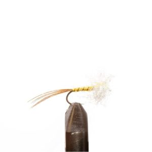 Brown Rib Yellow Spinner
