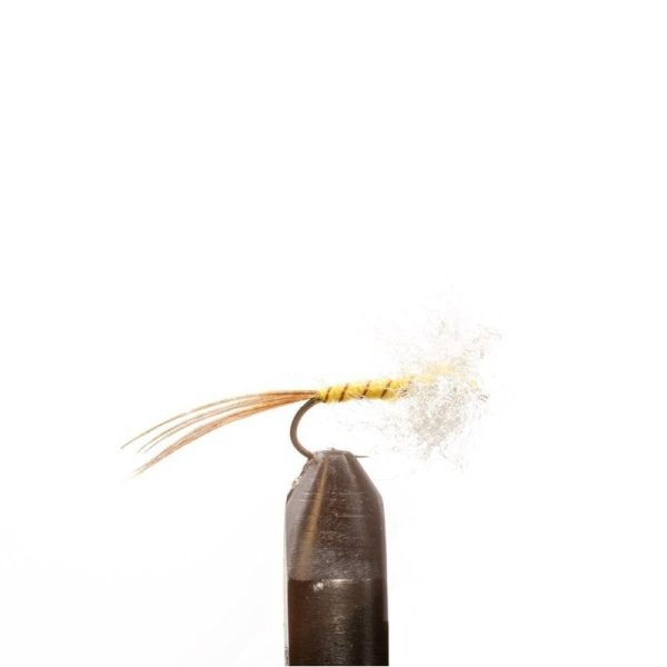 Brown Rib Yellow Spinner