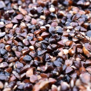 Buckwheat