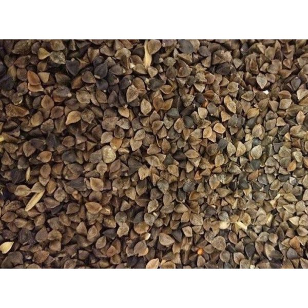 Buckwheat (Dry)
