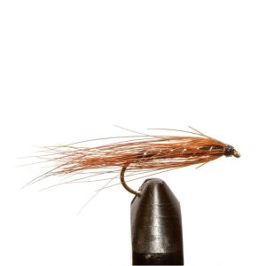 Carey Special-Black