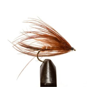 Carey Special-Brown