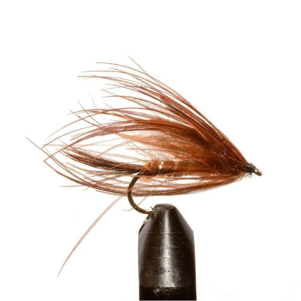 Carey Special-Brown