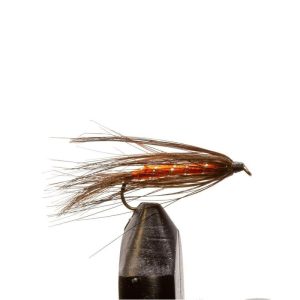 Carey Special-Orange