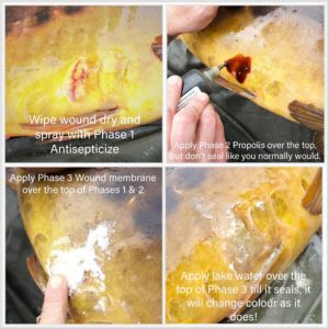 Carp Care UK (All variants)