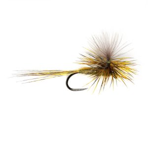 CDC BWO – PARA
