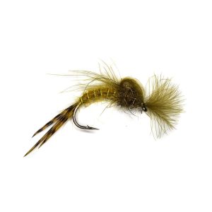 CDC LOOPWING EMERGER MAY – OLIVE