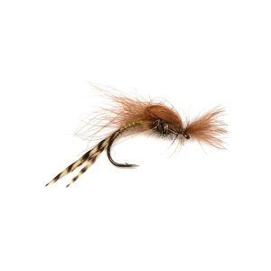 CDC LOOPWING EMERGER MAY – TAN