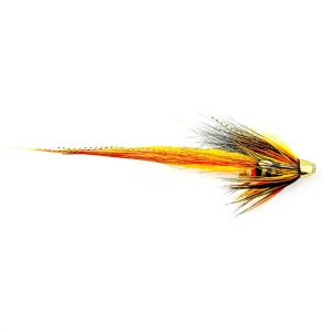 CH CASCADE WILLIE GUNN