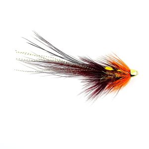CH P.B. PIG – RUBY CLARET