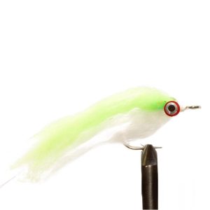Chartreuse Shad