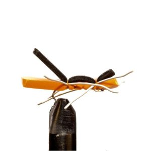 Chernobyl Ant Orange