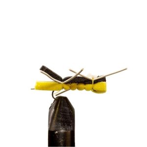 Chernobyl Ant Yellow