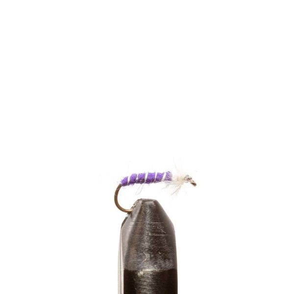 Chironomed Purple