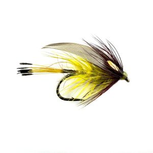 CLARET OLIVE
