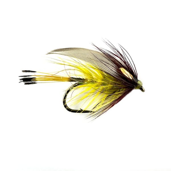 CLARET OLIVE