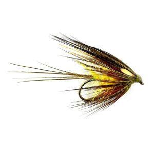 CLARET OLIVE DABBLER