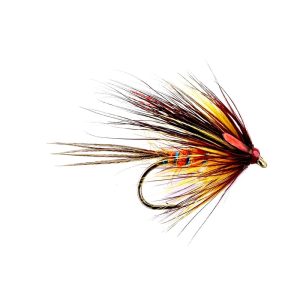 CLARET – RED OLIVE