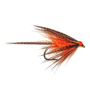 COCK ROBIN DABBLER