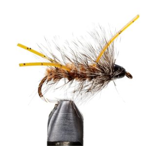 Coffee Yuk Bug Conehead
