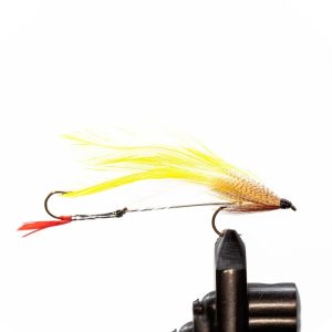 Colonel Bates –  Tandem