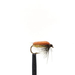 Colorado Caddis