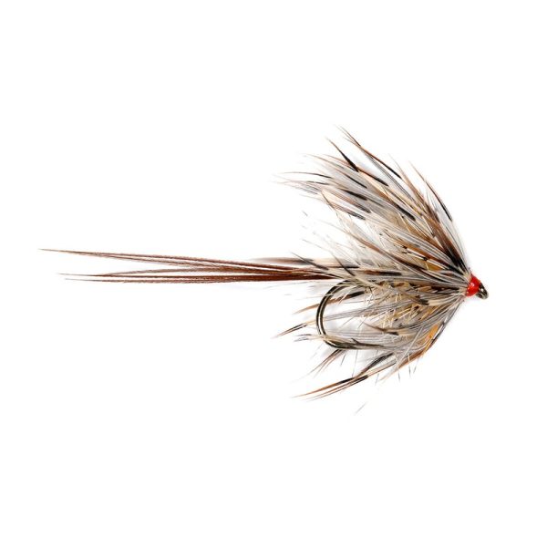CORRIB GREY MAY