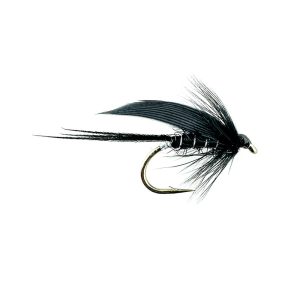 CROW’S WING