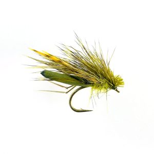 DADDYHOG – OLIVE