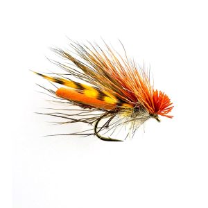 DADDYHOG – ORANGE