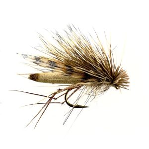 DADDYHOG – TAN