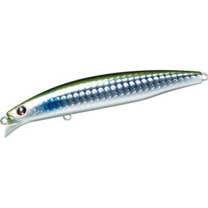 Daiwa Shiner-Z Vertice