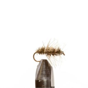 Dead Chicken Weighted