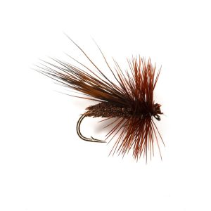DHB CHOCOLATE DROP