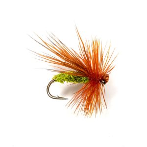 DHB GREEN PETER