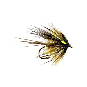 DIRTY OLIVE