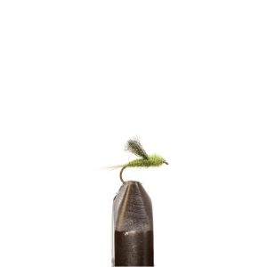 Dk. Olive Emerger