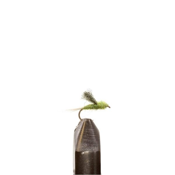Dk. Olive Emerger