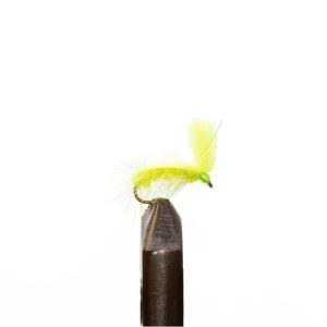 Doctor Tom’s Chartreuse
