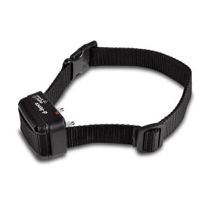 Dog Trace | Collar To The Invisible Fence For Another Dog | receiver d  fence