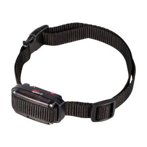 Dog Trace | No Bark Collar | D-Mute One
