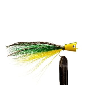 Dolphin Mini