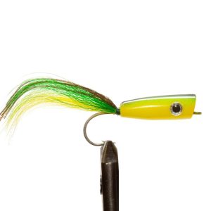 Dolphin Saltwater Popper