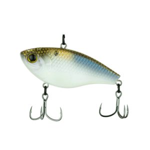 Duke – 4K Shad